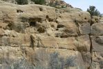 PICTURES/Crow Canyon Petroglyphs - Big Warrior Panel/t_P1200040.JPG